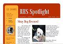 RHS Spotlight 2