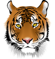 tiger-161802_960_720