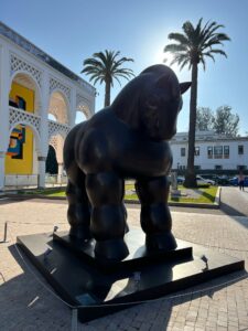 DAY 6 MOMA Rabat 5
