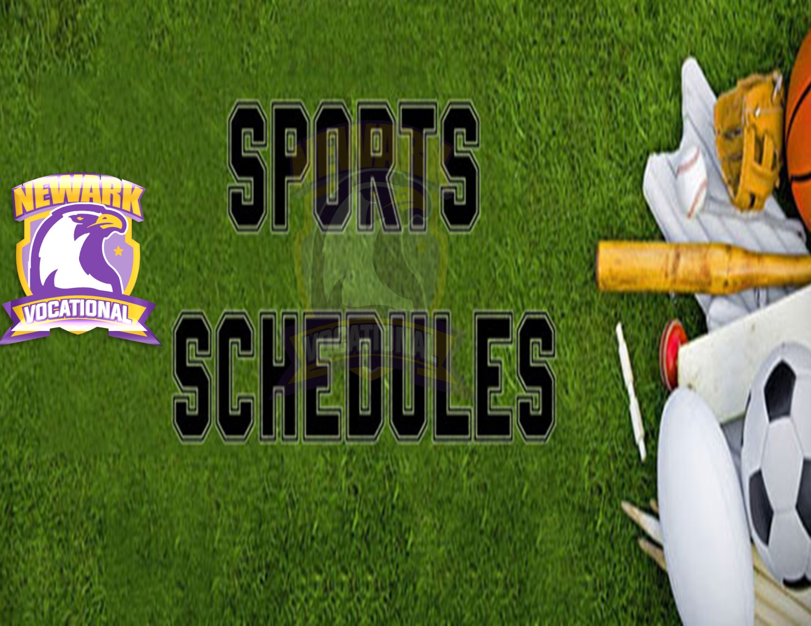 sports schedule2
